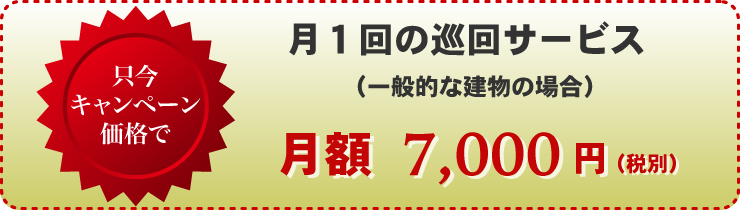 キャンペーン価格